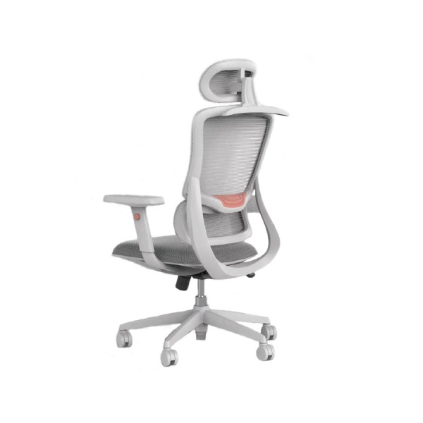 IMGL6528
